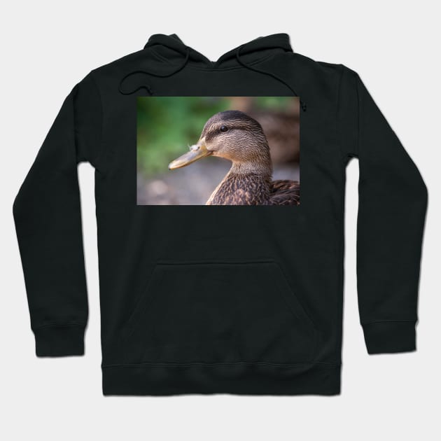 Mallard Profile Hoodie by Eunice1